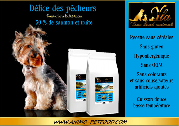 croquettes-pour-chien-souffrant-de-problemes-de-peau